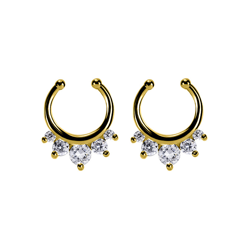 Septum 3