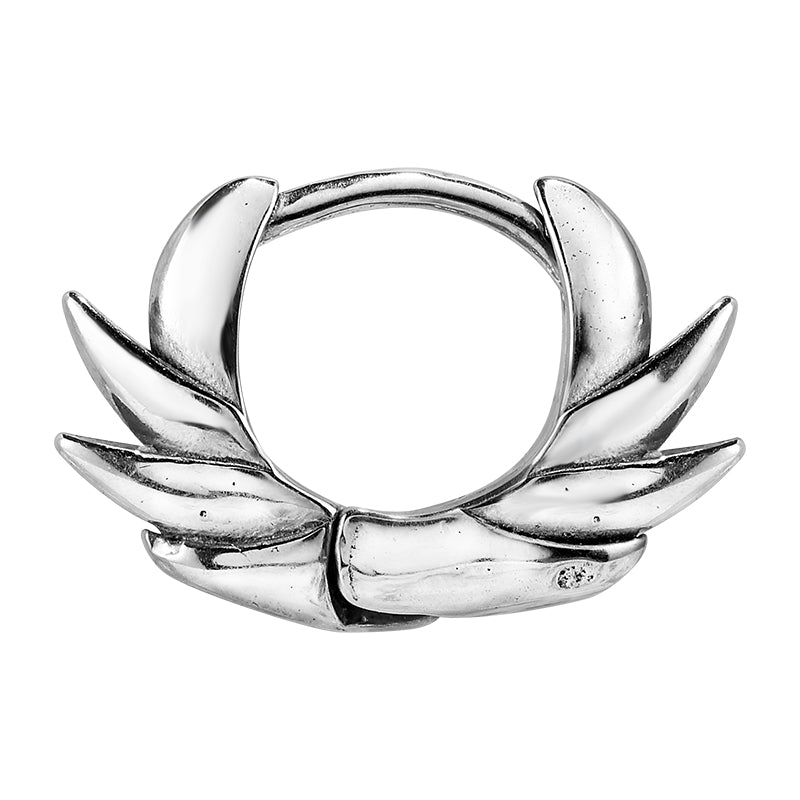 Earring Wings