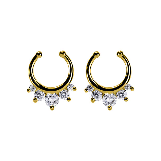 Septum 3