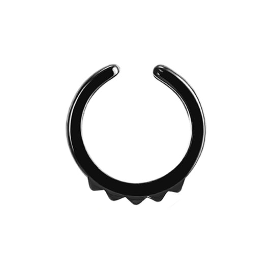 Septum 2